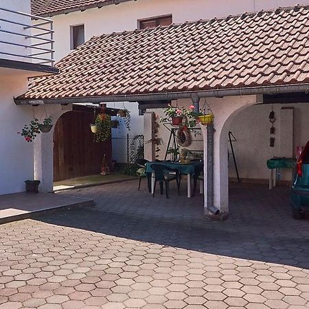 Milica Villa Banja Koviljača Esterno foto