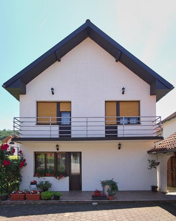 Milica Villa Banja Koviljača Esterno foto